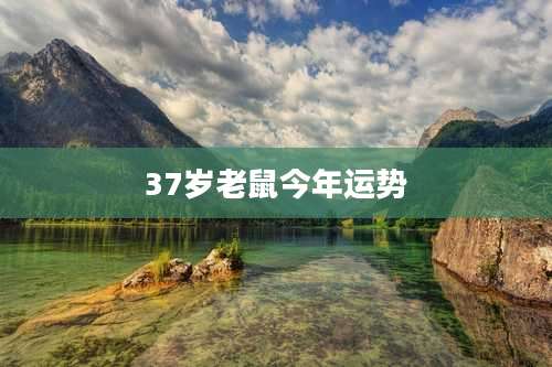 37岁老鼠今年运势
