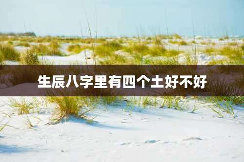 生辰八字里有四个土好不好