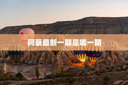 阿衰最新一期是哪一期