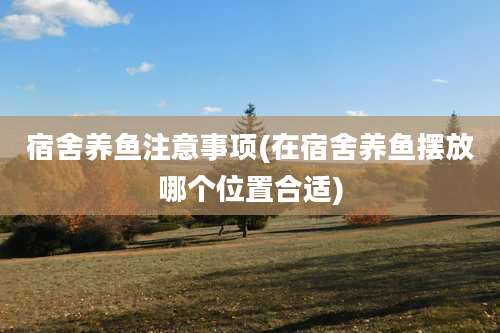 宿舍养鱼注意事项(在宿舍养鱼摆放哪个位置合适)