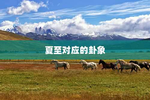 夏至对应的卦象