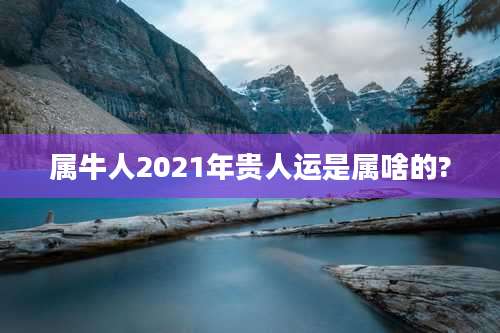 属牛人2021年贵人运是属啥的?