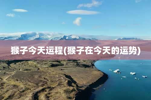 猴子今天运程(猴子在今天的运势)