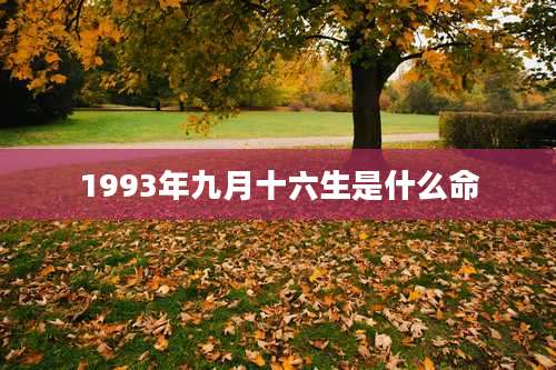 1993年九月十六生是什么命