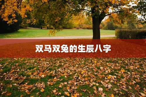 双马双兔的生辰八字