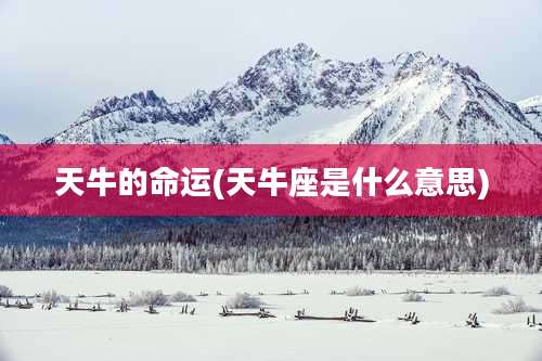 天牛的命运(天牛座是什么意思)