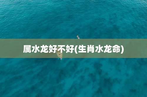 属水龙好不好(生肖水龙命)