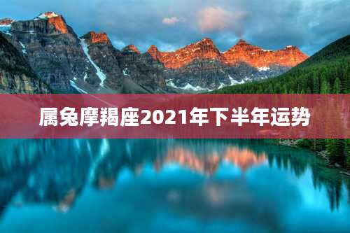 属兔摩羯座2021年下半年运势