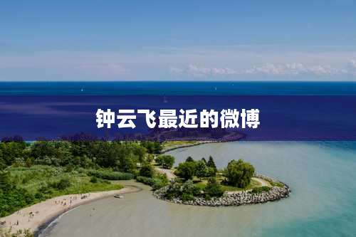 钟云飞最近的微博