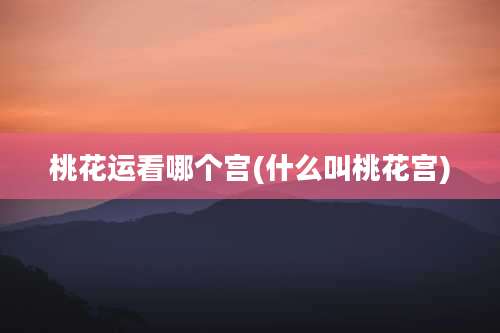 桃花运看哪个宫(什么叫桃花宫)