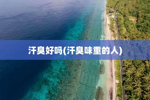 汗臭好吗(汗臭味重的人)