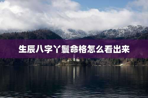 生辰八字丫鬟命格怎么看出来
