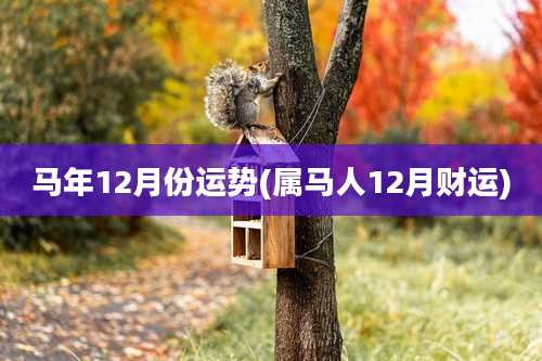 马年12月份运势(属马人12月财运)