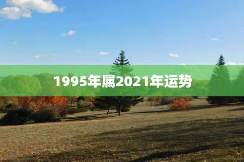 1995年属2021年运势