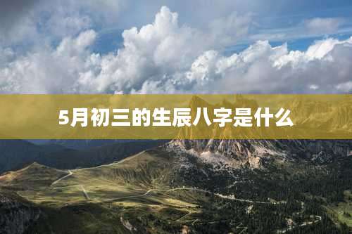 5月初三的生辰八字是什么
