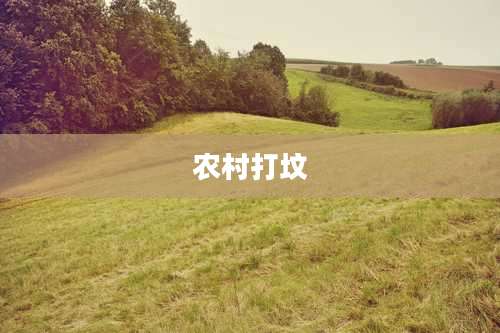 农村打坟