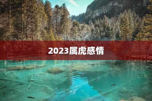 2023属虎感情