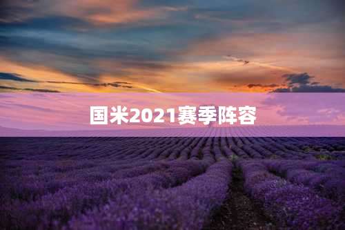 国米2021赛季阵容