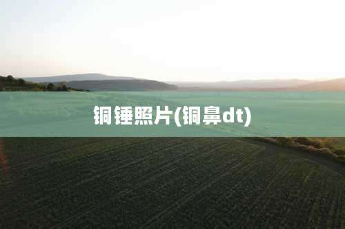 铜锤照片(铜鼻dt)