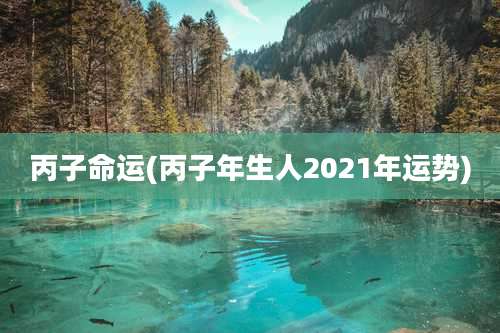 丙子命运(丙子年生人2021年运势)