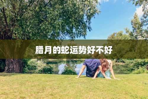 腊月的蛇运势好不好