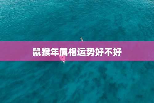 鼠猴年属相运势好不好