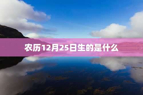 农历12月25日生的是什么