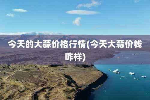 今天的大蒜价格行情(今天大蒜价钱咋样)