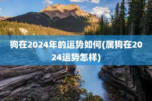 狗在2024年的运势如何(属狗在2024运势怎样)