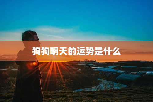 狗狗明天的运势是什么