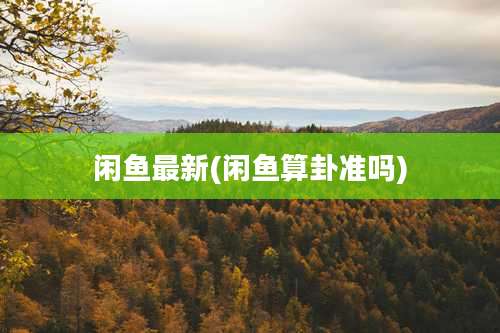 闲鱼最新(闲鱼算卦准吗)