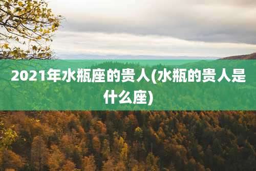 2021年水瓶座的贵人(水瓶的贵人是什么座)