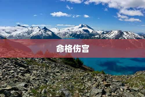 命格伤宫