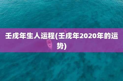 壬戌年生人运程(壬戌年2020年的运势)