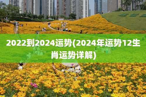 2022到2024运势(2024年运势12生肖运势详解)