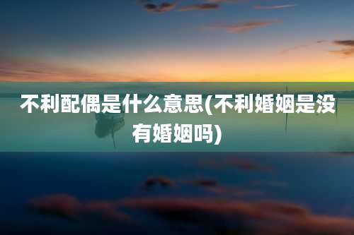 不利配偶是什么意思(不利婚姻是没有婚姻吗)