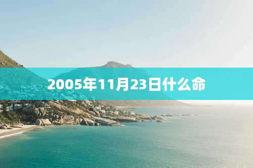 2005年11月23日什么命