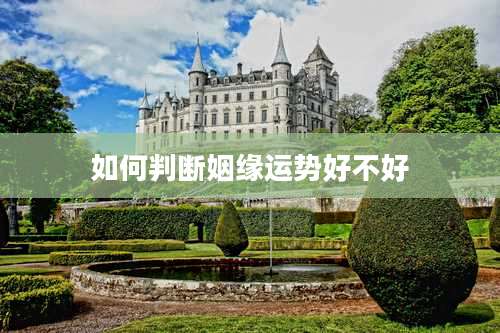 如何判断姻缘运势好不好