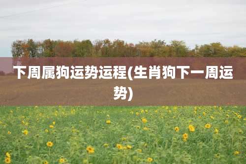 下周属狗运势运程(生肖狗下一周运势)