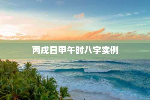 丙戌日甲午时八字实例