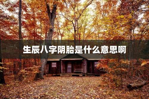 生辰八字阴胎是什么意思啊