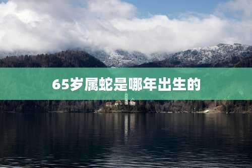 65岁属蛇是哪年出生的