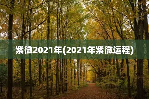 紫微2021年(2021年紫微运程)
