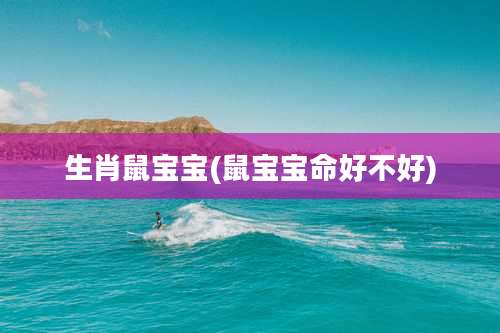 生肖鼠宝宝(鼠宝宝命好不好)