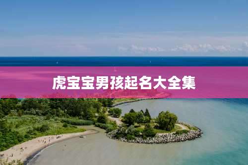 虎宝宝男孩起名大全集