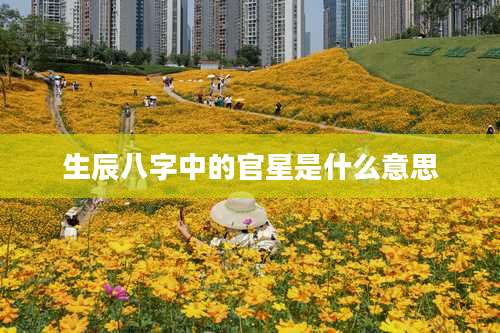 生辰八字中的官星是什么意思