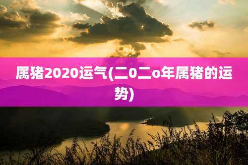 属猪2020运气(二0二o年属猪的运势)
