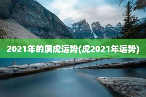 2021年的属虎运势(虎2021年运势)