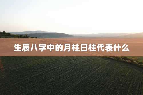 生辰八字中的月柱日柱代表什么