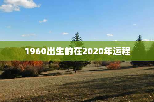 1960出生的在2020年运程